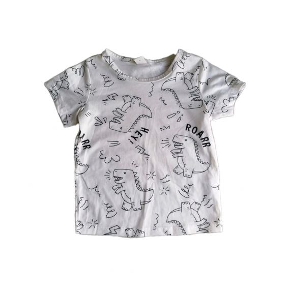 Hey dinosaur tshirt. 2-3 years