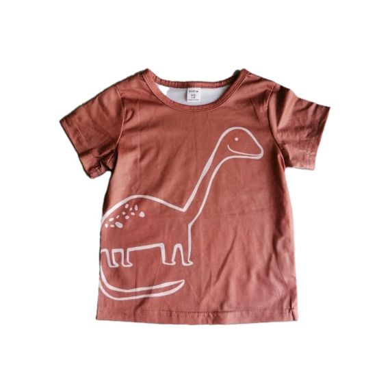 Brown dino tshirt 2-3y