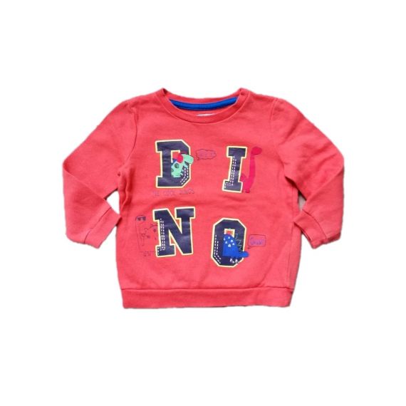 The cool dino sweatshirt 12-18m